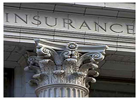 Insurance & Property